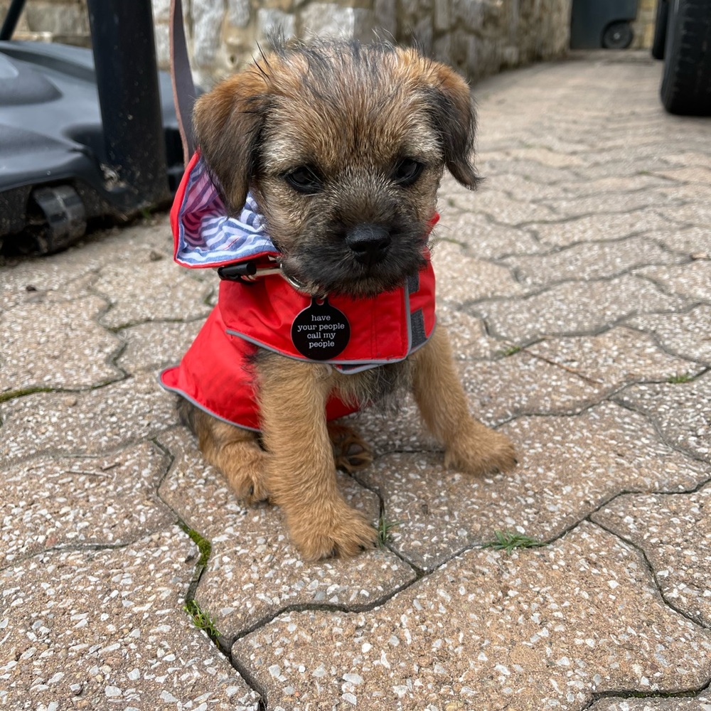 Worthy dog xs red raincoat, with reversible lining to seersucker with anchors